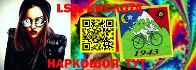 jwh Бийск
