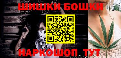 jwh Бийск